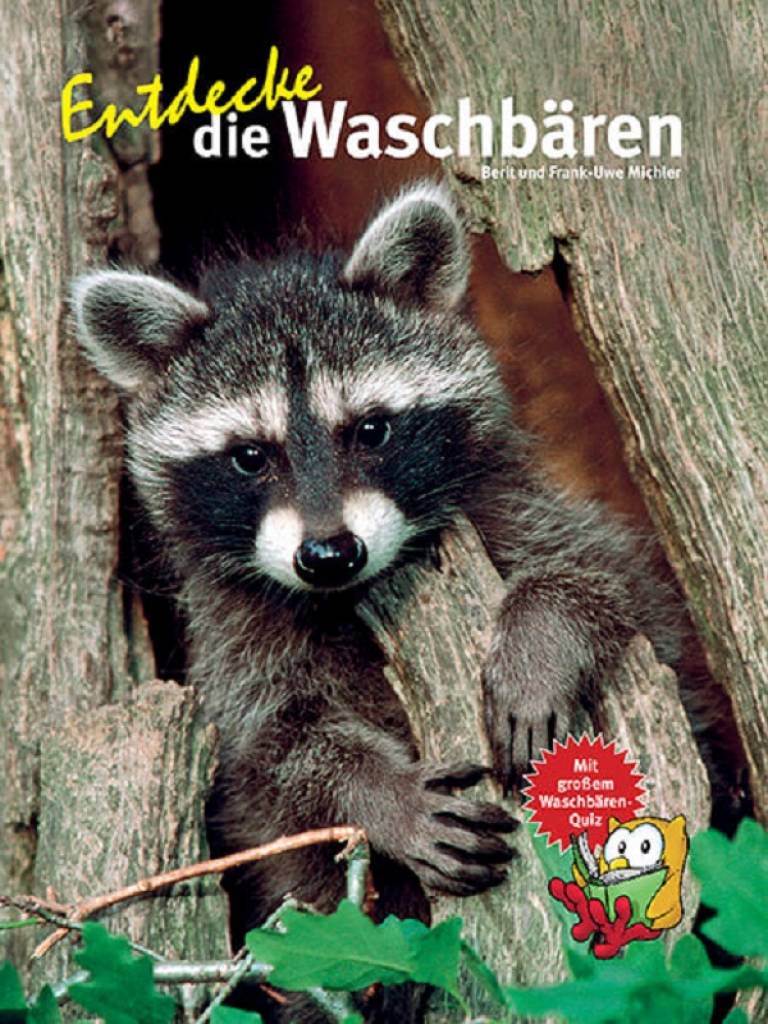 Entdecke die Waschbären